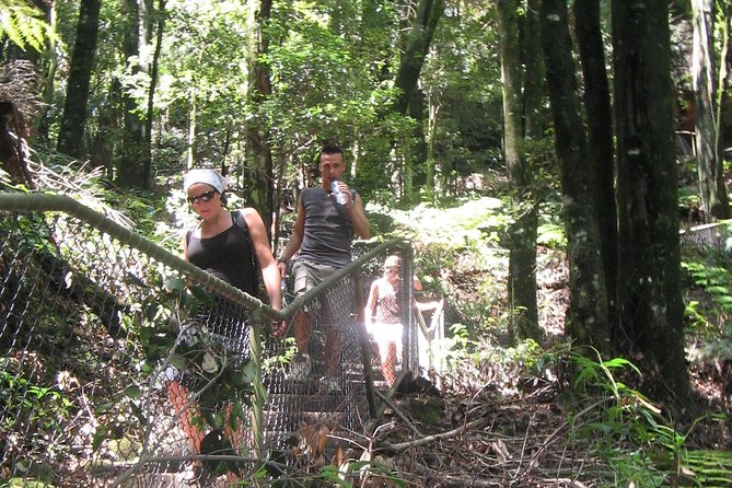 Exclusive Blue Mountains Wildlife and Bushwalk Tour From Sydney - How flexible is the route?