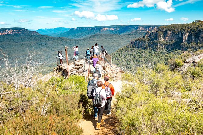 Exclusive Blue Mountains Wildlife and Bushwalk Tour From Sydney - What the guide adds