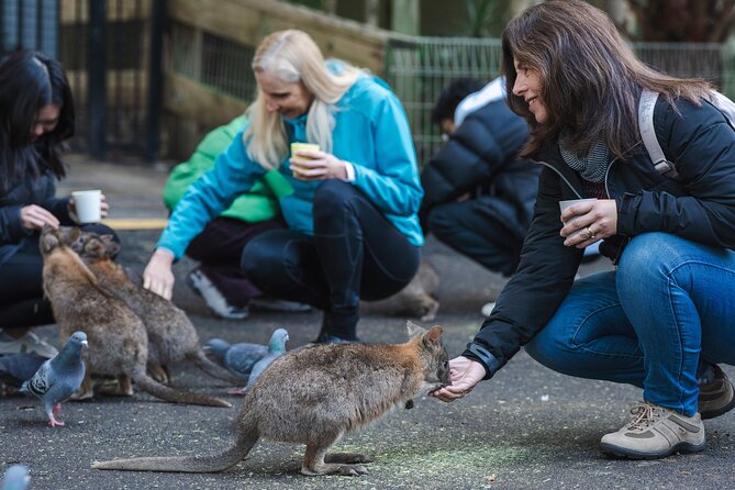 Exclusive Blue Mountains Wildlife and Bushwalk Tour From Sydney - Featherdale Wildlife Park: the strongest stop for animal lovers