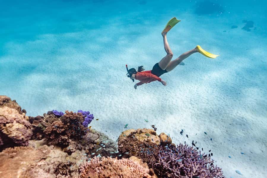 Exmouth: Guided Ningaloo Reef Snorkel Adventure - Turquoise Bay: your first two hours in the reef