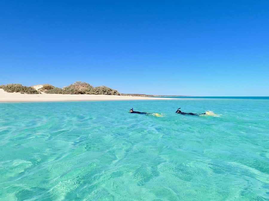 Exmouth: Guided Ningaloo Reef Snorkel Adventure - Included photos are a handy bonus