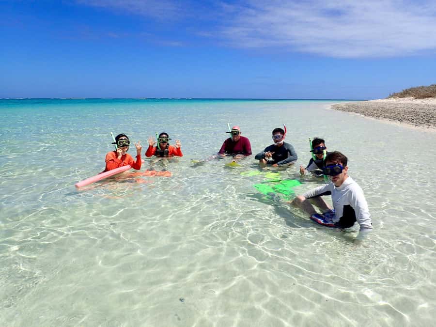 Exmouth: Guided Ningaloo Reef Snorkel Adventure - What $155 buys you