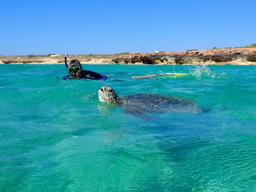 Exmouth: Half Day Turtle Kayak & Snorkel Tour - Why kayaking is a smart way to see Ningaloo wildlife