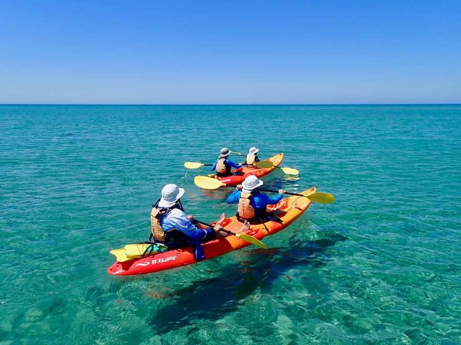 Exmouth: Half Day Turtle Kayak & Snorkel Tour - Getting set up for three hours on the water