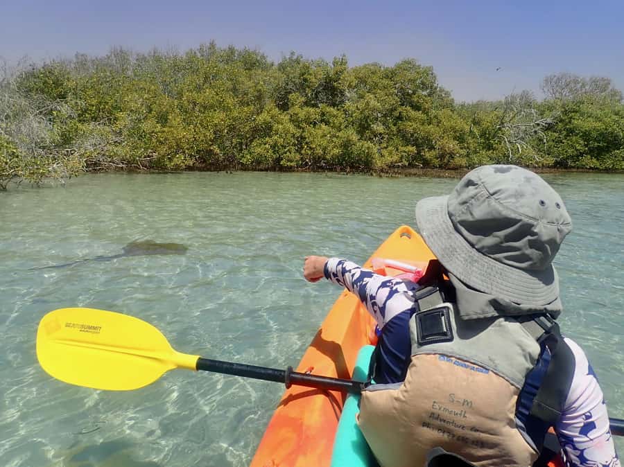 Exmouth: Half Day Turtle Kayak & Snorkel Tour - The 15-minute ride from Exmouth to the launch area