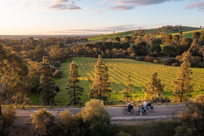 Experience Barossa Valley by E-bike - Ending with Yalumba’s private tasting and picnic
