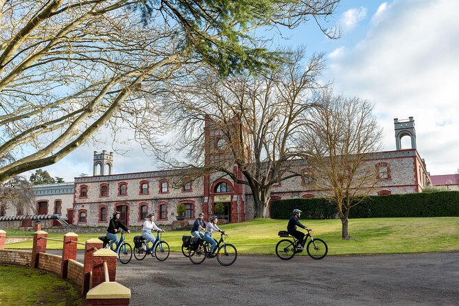 Experience Barossa Valley by E-bike - The best fit for this Barossa bike tour