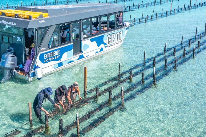 Experience Coffin Bay Oyster Farm and Bay Tour - Key points to know before booking