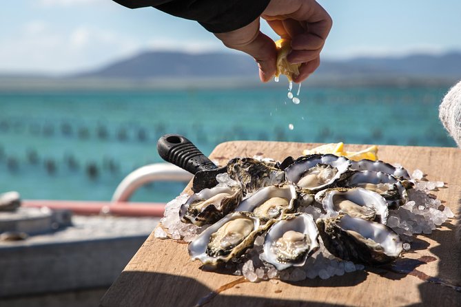 Experience Coffin Bay Oyster Farm and Bay Tour - Brothers Islands seals and possible dolphins