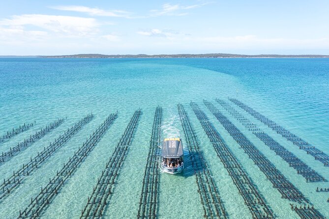 Experience Coffin Bay Oyster Farm and Bay Tour - Three hours from the Coffin Bay Yacht Club Jetty