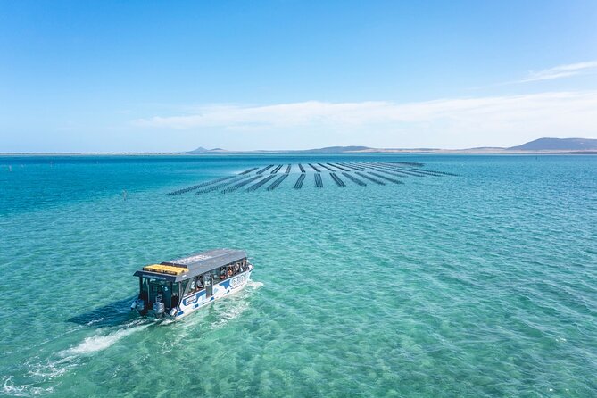 Experience Coffin Bay Oyster Farm and Bay Tour - Is $132.69 a fair price?