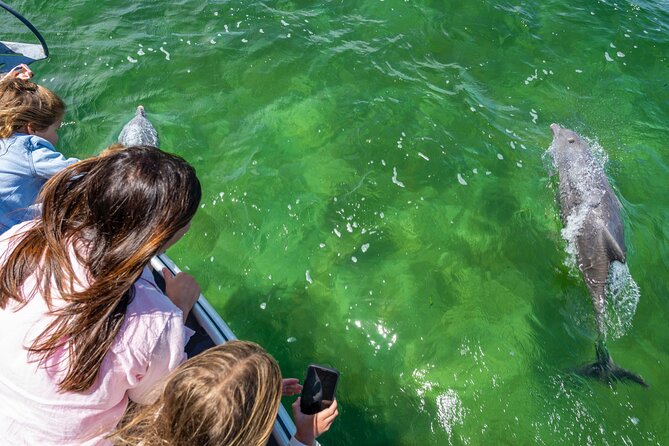 Experience Coffin Bay Short and Sweet Oyster Farm Tour - Learning from a farmer, not just a guide