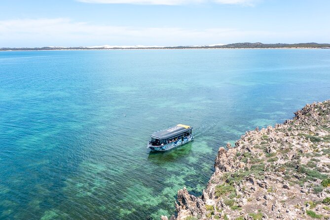 Experience Coffin Bay Short and Sweet Oyster Farm Tour - Who will enjoy this short cruise?
