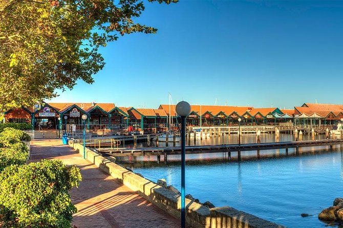Experience Rottnest with Ferry & Bike Hire - A practical island route for one day