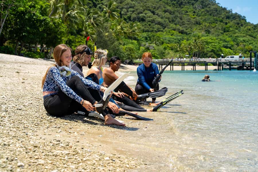 Fitzroy Island: Full-Day Ferry & Snorkel Safari Guided Tour - Rainforest trails and beach time