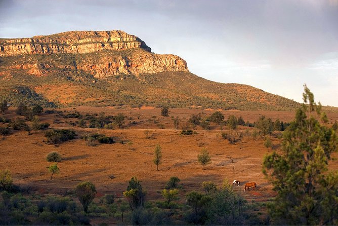 Flinders Ranges 3-Day Small Group 4WD Eco Tour from Adelaide - Wilpena Pound from the ground or air