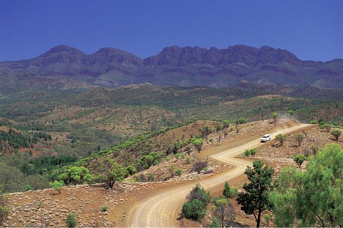 Flinders Ranges 3-Day Small Group 4WD Eco Tour from Adelaide - The main strengths and the honest drawbacks