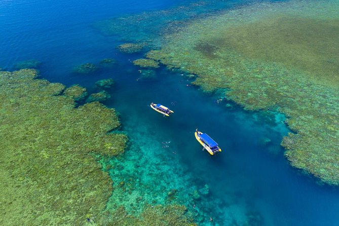 Fly Raft Package: Whitehaven Beach, Snorkel and Scenic Flight - Tropical lunch beside the sand