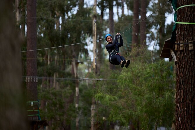 Forest Adventures - Key points to know before you book