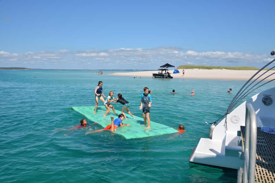 Fraser Island 4-Hour Eco-Sailing Adventure - Should you book the Fraser Island Eco-Sailing Adventure?