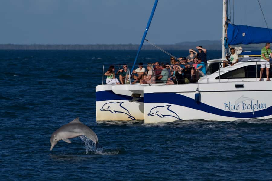 Fraser Island 4-Hour Eco-Sailing Adventure - Is $77 a good deal?
