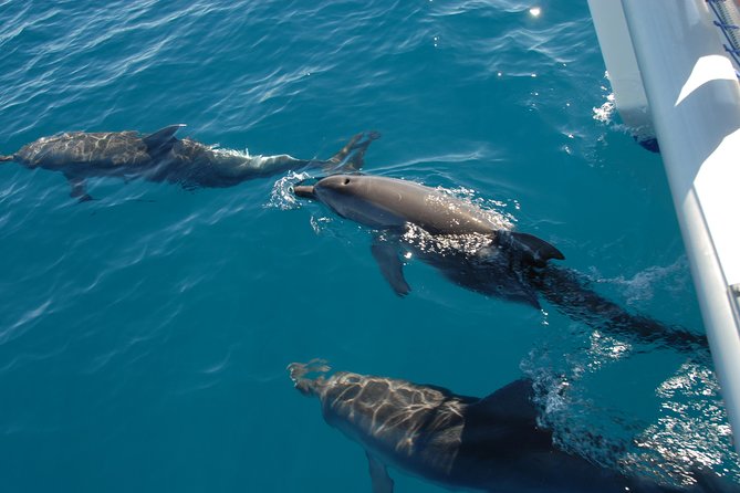 Fraser Island & Dolphin Sailing Adventure - Reaching K’gari by the quieter western side