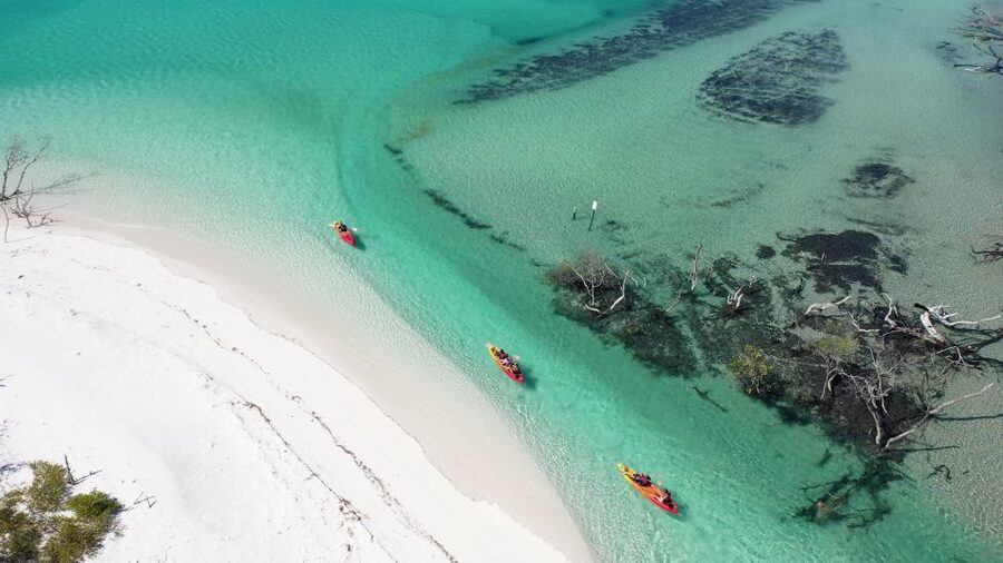 Fraser Island (K'gari): Remote Island and Whale Experience - Awinya or Bowarrady Creek for a quieter afternoon