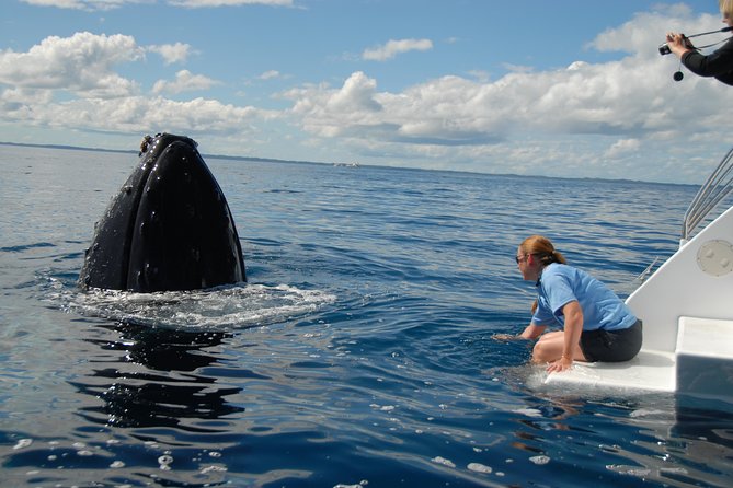 Fraser Island Whale Watch Encounter - The submerged platform and hydrophone