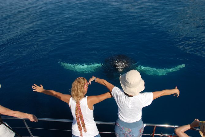 Fraser Island Whale Watch Encounter - Who should book this experience