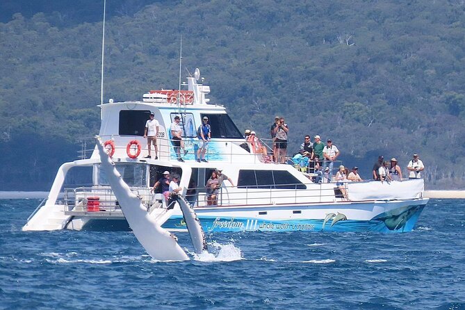 Freedom 3/4 Day Hervey Bay Premium Whale Watching Cruise - Morning Tea as the Boat Heads Toward Platypus Bay