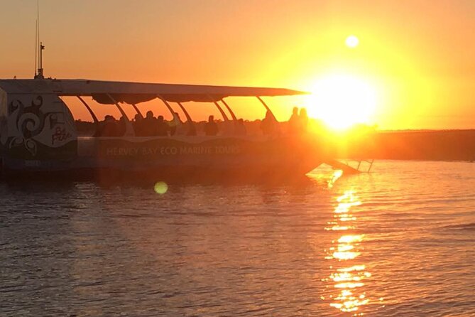 Freedom 3/4 Day Hervey Bay Premium Whale Watching Cruise - Lunch with K’Gari in View