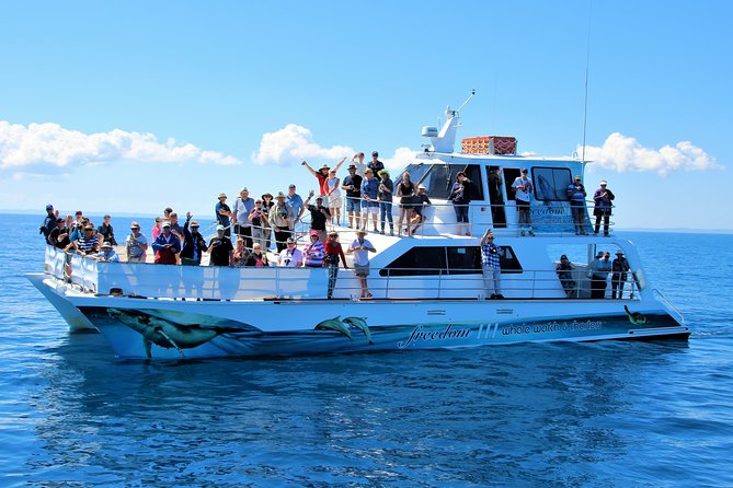 Freedom 3/4 Day Hervey Bay Premium Whale Watching Cruise - Watching Humpbacks Without Rushing the Encounter