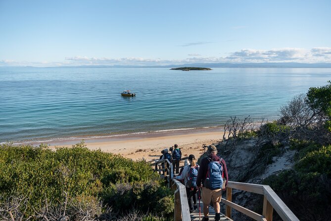 Freycinet Walking Tour - What your guide adds to the walk