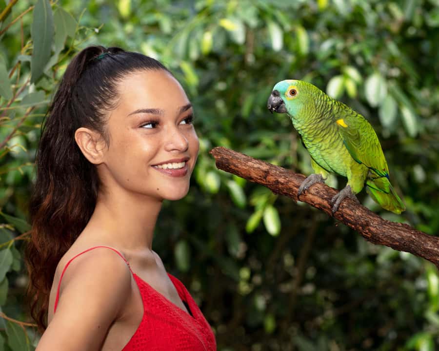 Friends in the Rainforest Package: Koala Gardens & Birdworld - Birdworld’s macaws, cassowaries, and rainbow lorikeets