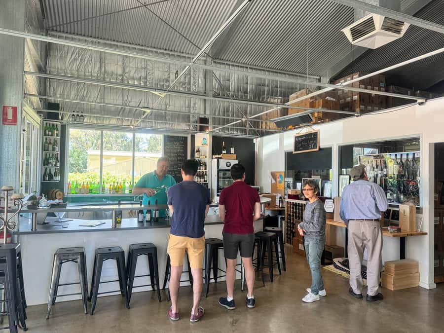 From Adelaide: McLaren Vale Wine Experience - Who will enjoy this day most