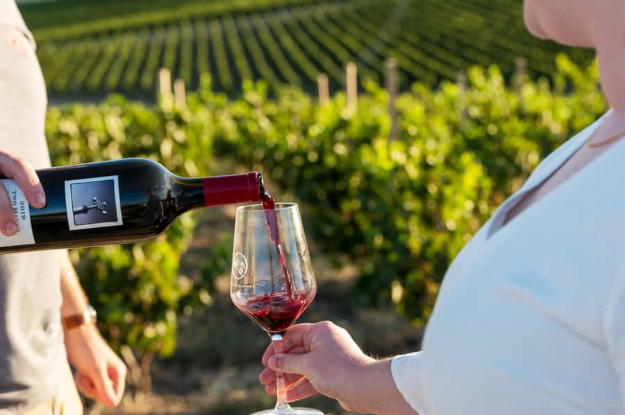From Adelaide or Barossa: Boutique Barossa Valley Wine Tour - Two morning tastings with room for questions