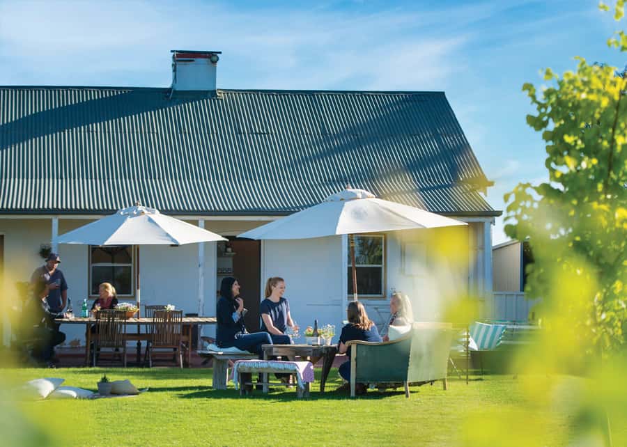 From Adelaide or Barossa: Boutique Barossa Valley Wine Tour - Boutique producers versus famous labels