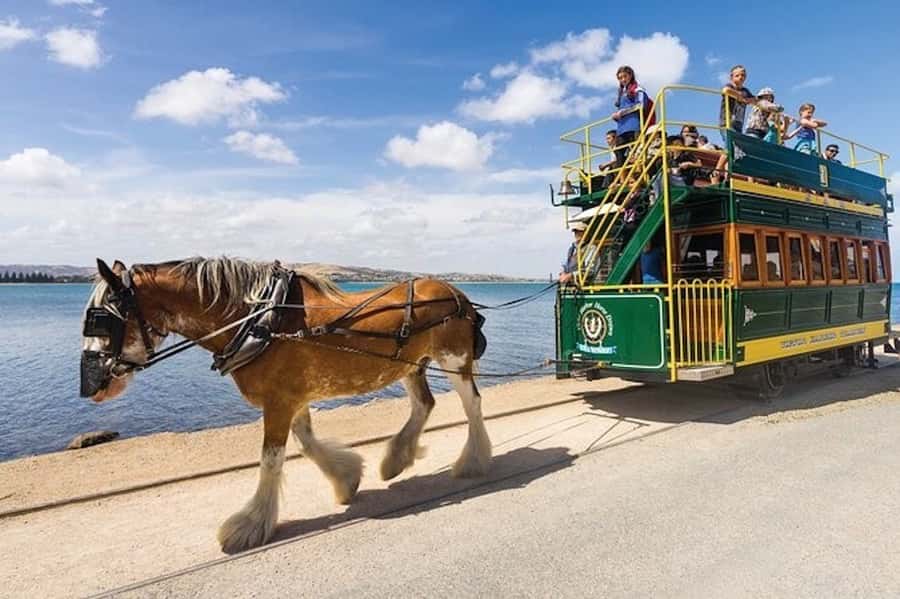 From Adelaide: Victor Harbor & Hahndorf Day Tour - The guide can make or break the day