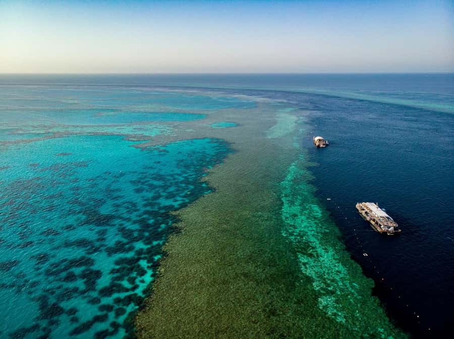 From Airlie Beach: Great Barrier Reef Adventure Cruise - Four Hours on a Pontoon Over the Reef