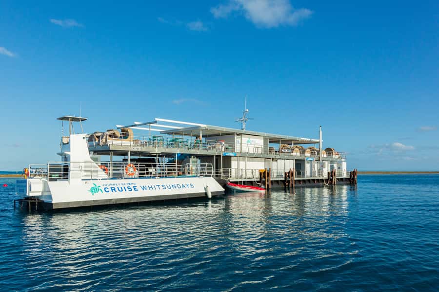From Airlie Beach: Great Barrier Reef Adventure Cruise - Buffet Lunch and Time to Recharge