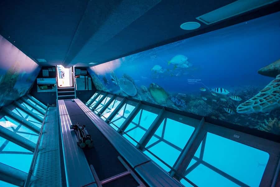From Airlie Beach: Great Barrier Reef Adventure Cruise - What to Pack and What to Leave Behind