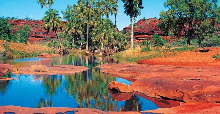 From Alice Springs: Palm Valley 4WD Outback Safari + Picnic - Key points at a glance