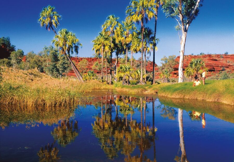 From Alice Springs: Palm Valley 4WD Outback Safari + Picnic - Entering Finke Gorge National Park by 4WD