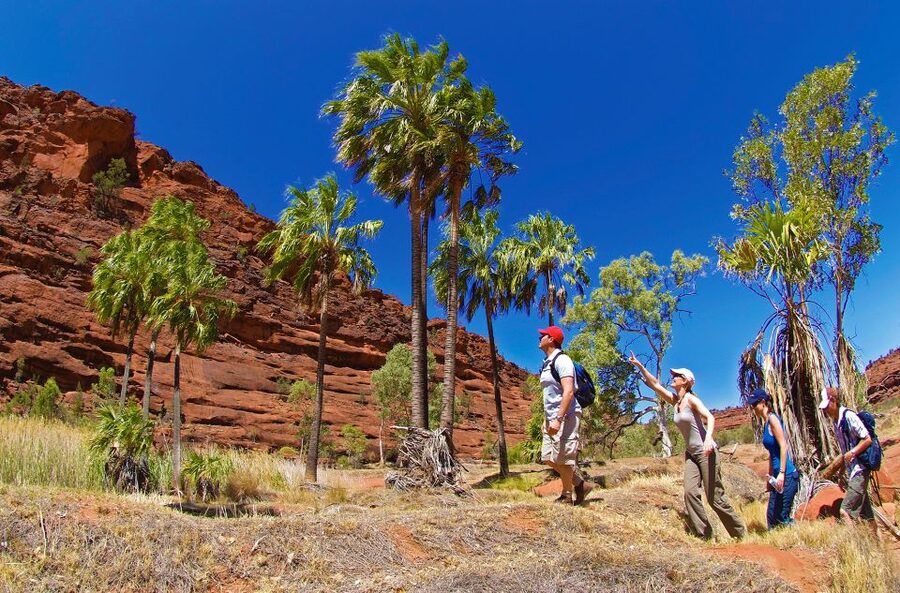 From Alice Springs: Palm Valley 4WD Outback Safari + Picnic - Is $171 fair for a 10.5-hour day?