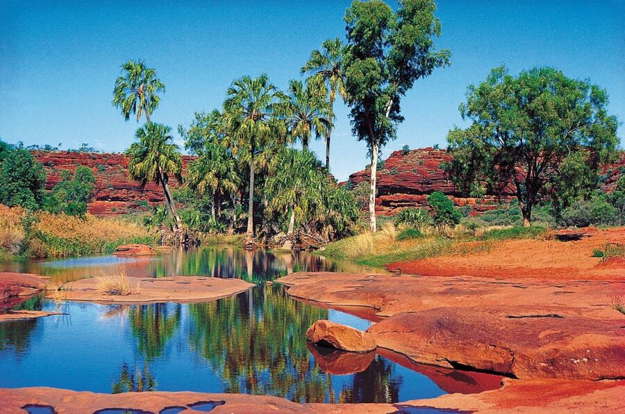 From Alice Springs: Palm Valley 4WD Outback Safari + Picnic - The drive from Alice Springs through the West MacDonnell Ranges