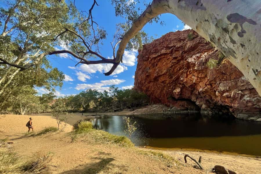 From Alice Springs/Yulara: 4-Day Red Centre 4WD Camping Tour - The guide can shape the whole four days