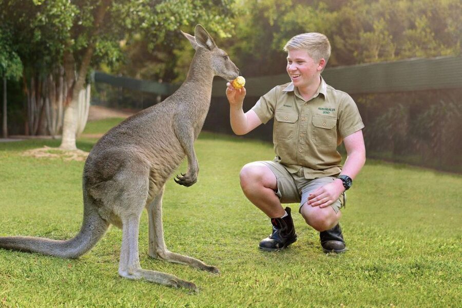 From Brisbane: Australia Zoo Ticket and Roundtrip Transfer - Why this Brisbane day trip works