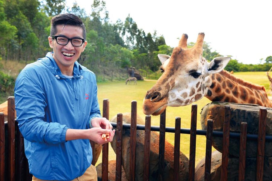 From Brisbane: Australia Zoo Ticket and Roundtrip Transfer - Glass House Mountains and pineapple country