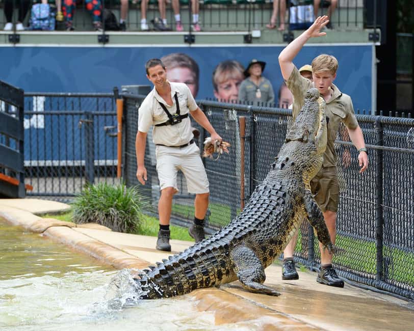 From Brisbane: Australia Zoo Ticket and Roundtrip Transfer - Australian animals, from wombats to dingoes