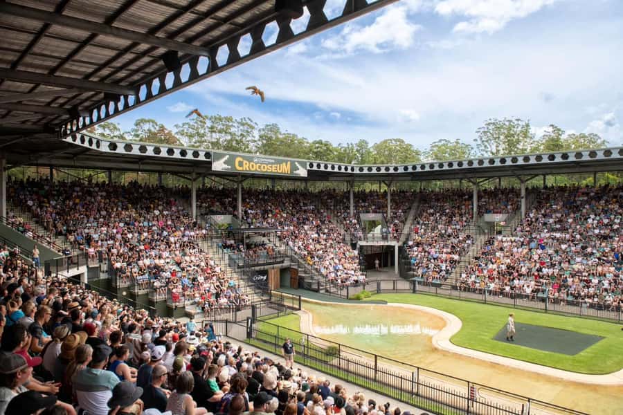 From Brisbane: Australia Zoo Transfer and Entry Ticket - The one-hour drive north